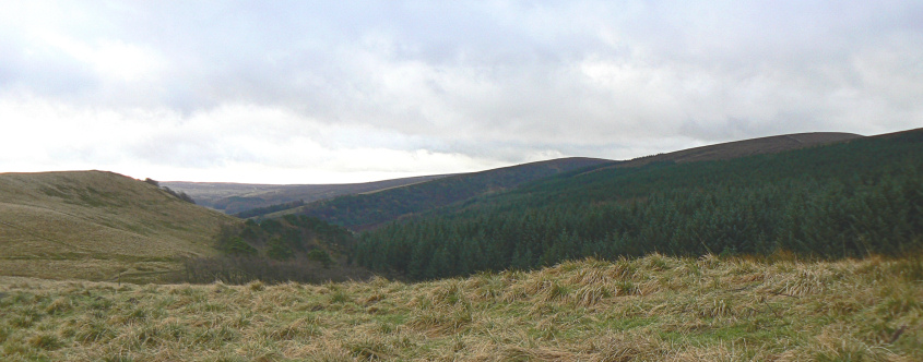 Withinleach Moor Withinleach Moor